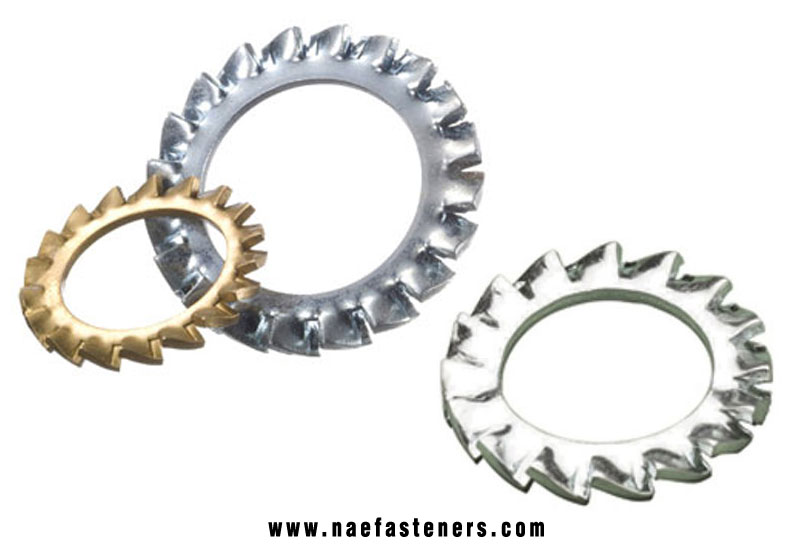 Tooth Lock Washers Manufacturers Exporters Suppliers Stockist In India